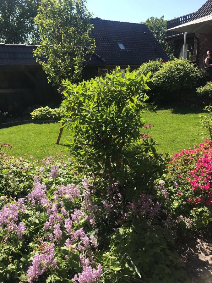 Appartamento Heidenest Schneverdingen Esterno foto